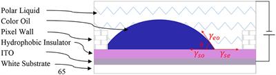 Driving Scheme Optimization for Electrowetting Displays Based on Contact Angle Hysteresis to Achieve Precise Gray-Scales